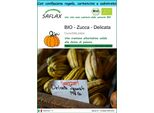 Saflax Set Regalo -- Zucca - Delicata - 6 Semi - Cucurbita