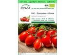 Saflax Garden To Go - Bio - Pomodoro - Roma - 15 Semi - Solanum
