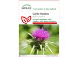 Saflax - Cardo Mariano - 75 Semi - Silybum