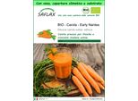 Saflax Garden To Go - Bio - Carota - Early Nantes - 1500 Semi - Daucus