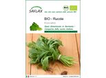 Saflax -- Rucola - 3000 Semi - Eruca