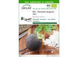 Saflax -- Ravanello Spagnolo Nero - 100 Semi - Con Substrato - Raphanus