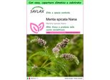 Saflax Garden To Go - Menta Spicata Nana - 500 Semi - Mentha
