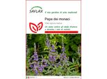 Saflax - Pepe Dei Monaci - 30 Semi - Vitex
