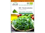 Saflax Garden In The Bag -- Rucola Selvatica - 1500 Semi - Diplotaxis