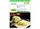 Saflax Garden To Go - Bio - Cavolo Cinese - Granat - 40 Semi - Brassica