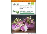 Saflax Garden In The Bag - Bio - Cavolo Rapa - Milan Purple - 600 Semi - Brassica