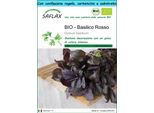 Saflax Set Regalo - Bio - Basilico Rosso - 400 Semi - Ocimum