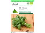 Saflax Garden To Go - Bio - Rucola - 3000 Semi - Eruca