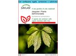 Saflax Set Regalo - Jiaogulan / Pianta Dell'immortalità - 30 Semi - Gynostemma