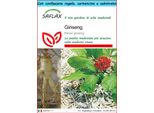 Saflax Set Regalo - Ginseng - 10 Semi - Panax