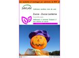 Saflax Garden In The Bag - Zucca - Zucca Lanterna - 10 Semi - Cucurbita