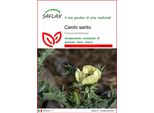 Saflax - Cardo Santo - 50 Semi - Cnicus