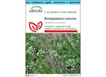 Saflax Set Regalo - Borsapastore Comune - 1000 Semi - Capsella