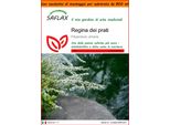 Saflax Garden In The Bag - Regina Dei Prati - 500 Semi - Filipendula
