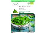 Saflax Garden To Go - Bio - Spinaci - Gigante D'inverno - 250 Semi - Spinacia