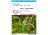 Saflax Set Regalo - Menta Spicata Nana - 500 Semi - Mentha