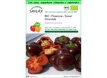 Saflax Garden To Go - Bio - Peperone - Sweet Chocolate - 10 Semi - Capsicum