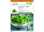 Saflax Garden In The Bag -- Spinaci - Gigante D'inverno - 250 Semi - Spinacia