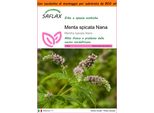 Saflax Garden In The Bag - Menta Spicata Nana - 500 Semi - Mentha