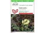 Saflax Garden To Go - Cardo Santo - 50 Semi - Cnicus