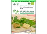 Saflax Garden To Go -- Levistico O Sedano Di Monte - 100 Semi - Levisticum