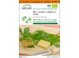 Saflax Garden In The Bag -- Levistico O Sedano Di Monte - 100 Semi - Levisticum