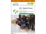 Saflax Garden In The Bag - Bio - Basilico Rosso - 400 Semi - Ocimum