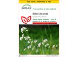 Saflax Insieme Di Coltivazione - Billeri Dei Prati - 100 Semi - Cardamine