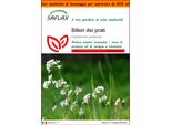 Saflax Garden In The Bag - Billeri Dei Prati - 100 Semi - Cardamine