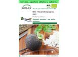 Saflax Garden To Go - Bio - Ravanello Spagnolo Nero - 100 Semi - Raphanus