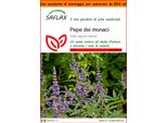 Saflax Garden In The Bag - Pepe Dei Monaci - 30 Semi - Vitex