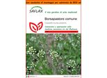 Saflax Garden In The Bag - Borsapastore Comune - 1000 Semi - Capsella
