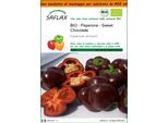 Saflax Garden In The Bag - Bio - Peperone - Sweet Chocolate - 10 Semi - Capsicum