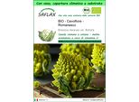 Saflax Garden To Go - Bio - Cavolfiore - Romanesco - 50 Semi - Brassica