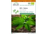 Saflax Garden In The Bag -- Salvia - 60 Semi - Salvia