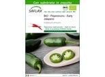 Saflax -- Peperoncino - Early Jalapeno - 20 Semi - Con Substrato - Capsicum