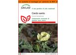 Saflax Garden In The Bag - Cardo Santo - 50 Semi - Cnicus