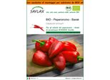 Saflax Garden In The Bag - Bio - Peperoncino - Barak - 15 Semi - Capsicum