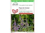 Saflax Garden To Go - Pepe Dei Monaci - 30 Semi - Vitex