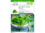 Saflax - Bio - Spinaci - Gigante D'inverno - 250 Semi - Con Substrato - Spinacia