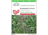 Saflax Garden To Go - Borsapastore Comune - 1000 Semi - Capsella