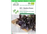 Saflax Garden To Go -- Basilico Rosso - 400 Semi - Ocimum
