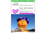 Saflax Garden To Go - Zucca - Zucca Lanterna - 10 Semi - Cucurbita