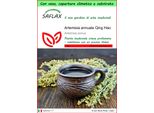 Saflax Garden To Go - Artemisia Annuale Qing Hao - 250 Semi - Artemisia