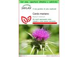 Saflax Garden To Go - Cardo Mariano - 75 Semi - Silybum