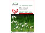 Saflax - Billeri Dei Prati - 100 Semi - Cardamine