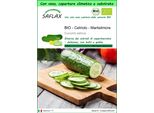 Saflax Garden To Go - Bio - Cetriolo - Marketmore - 20 Semi - Cucumis