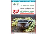 Saflax Set Regalo - Artemisia Annuale Qing Hao - 250 Semi - Artemisia