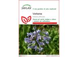 Saflax - Verbena - 250 Semi - Verbena
